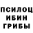 Псилоцибиновые грибы мухоморы LynxBro