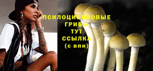 каннабис Алзамай