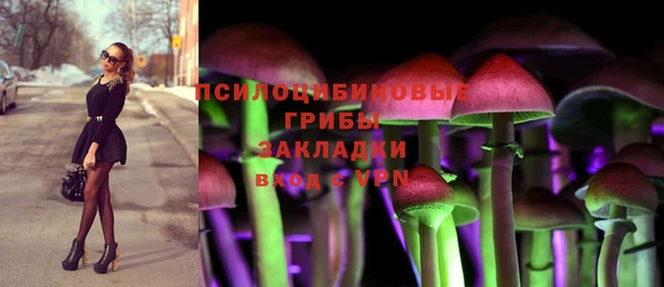 гидра Алексеевка