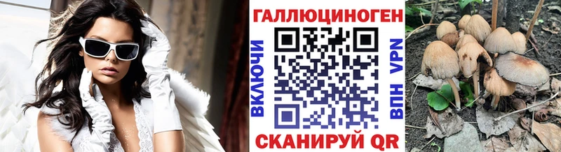 продажа наркотиков  Жуковка  MEGA как зайти  Галлюциногенные грибы прущие грибы 